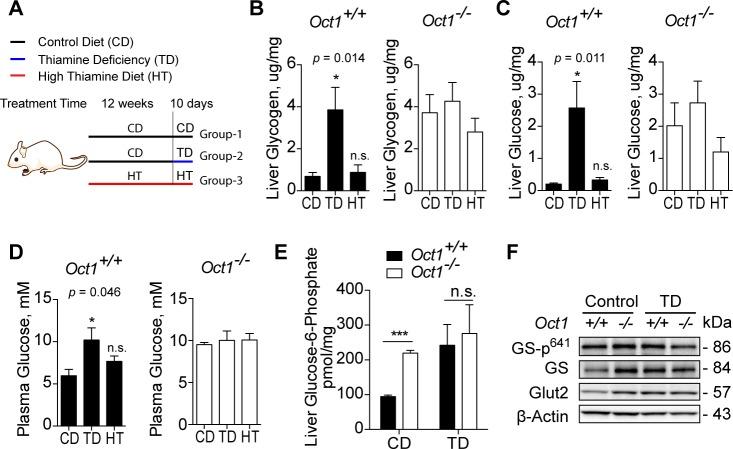 https://cdn.ncbi.nlm.nih.gov/pmc/blobs/73e4/5919692/979610bec4b3/pbio.2002907.g005.jpg