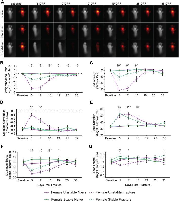 https://cdn.ncbi.nlm.nih.gov/pmc/blobs/73e6/12417503/647eec28553f/fphys-16-1630155-g002.jpg