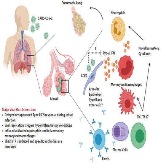 https://cdn.ncbi.nlm.nih.gov/pmc/blobs/73e7/7646052/e9d421d6aeb7/LIM2-1-e7-g003.jpg
