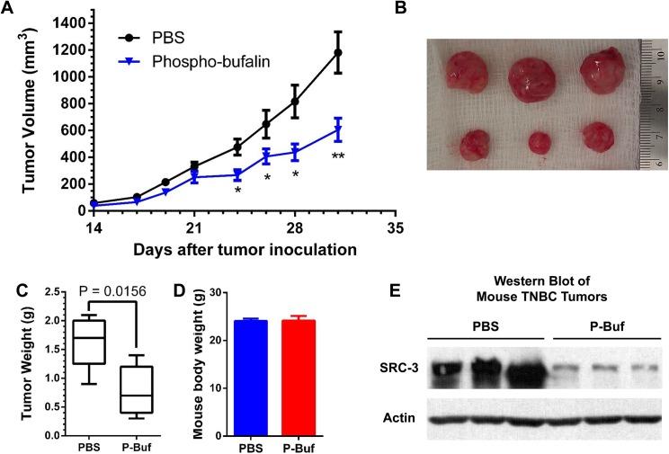 https://cdn.ncbi.nlm.nih.gov/pmc/blobs/73e8/4592245/9b5e36925ba2/pone.0140011.g008.jpg