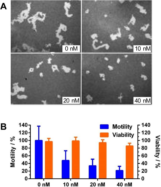 https://cdn.ncbi.nlm.nih.gov/pmc/blobs/73e8/4592245/cc9a176708f0/pone.0140011.g003.jpg