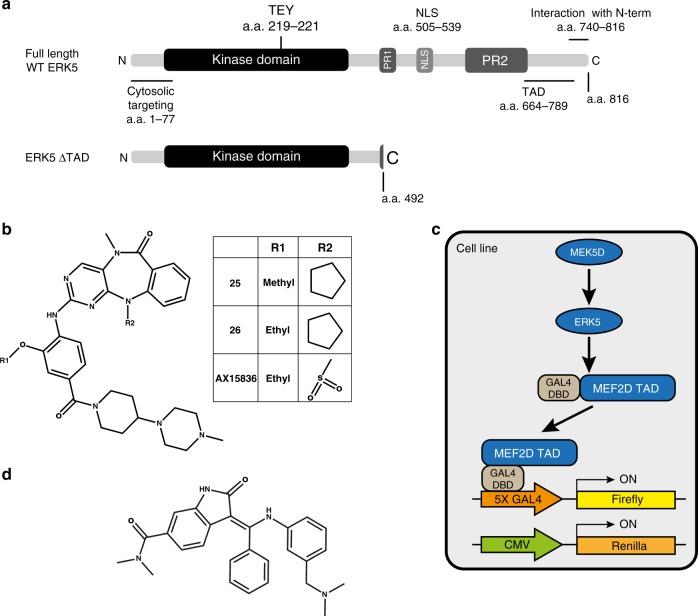https://cdn.ncbi.nlm.nih.gov/pmc/blobs/73ea/7069993/0528ed801a41/41467_2020_15031_Fig1_HTML.jpg