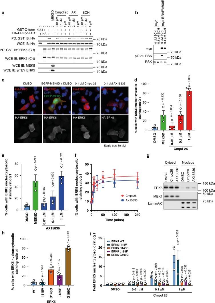 https://cdn.ncbi.nlm.nih.gov/pmc/blobs/73ea/7069993/f3f2e0b251c5/41467_2020_15031_Fig5_HTML.jpg