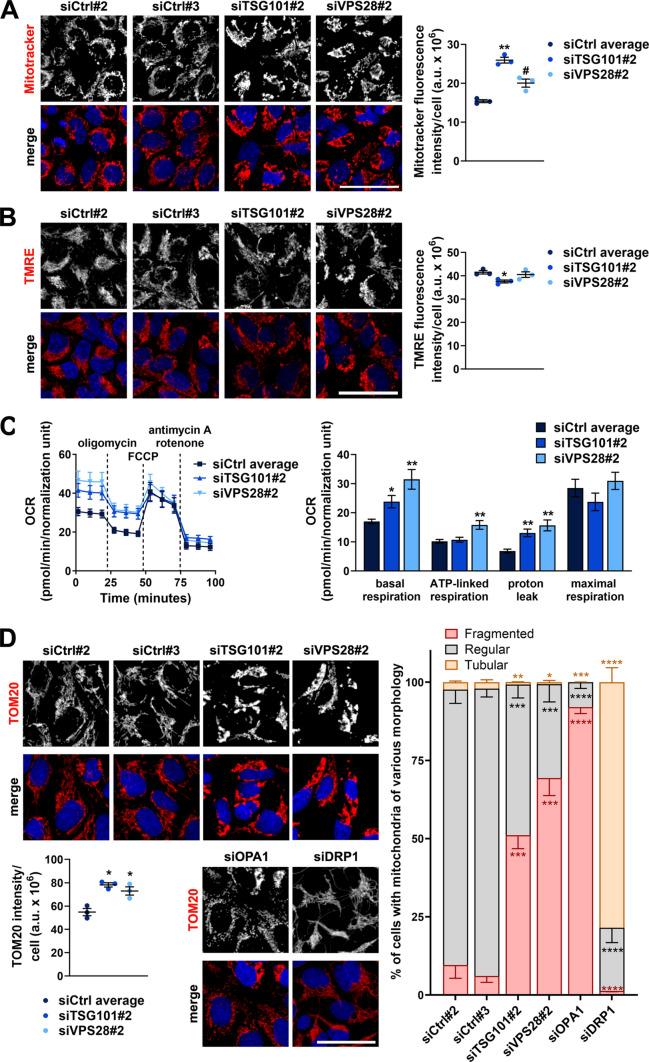 https://cdn.ncbi.nlm.nih.gov/pmc/blobs/73f2/11576715/50f70d5307e3/18_2024_5490_Fig3_HTML.jpg