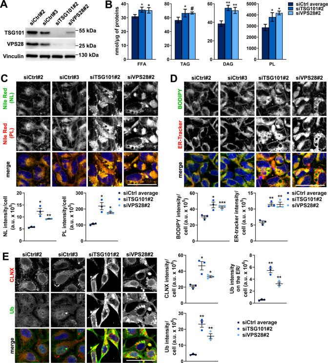 https://cdn.ncbi.nlm.nih.gov/pmc/blobs/73f2/11576715/bd6925026b91/18_2024_5490_Fig2_HTML.jpg