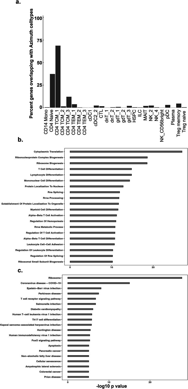https://cdn.ncbi.nlm.nih.gov/pmc/blobs/73f3/11861978/1def2c018ef3/41598_2025_88423_Fig2_HTML.jpg