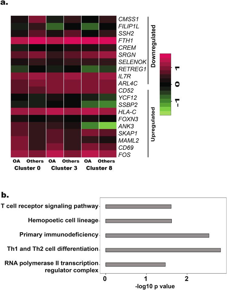 https://cdn.ncbi.nlm.nih.gov/pmc/blobs/73f3/11861978/67d6108387b3/41598_2025_88423_Fig4_HTML.jpg