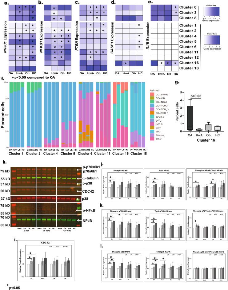 https://cdn.ncbi.nlm.nih.gov/pmc/blobs/73f3/11861978/8243700065b0/41598_2025_88423_Fig6_HTML.jpg