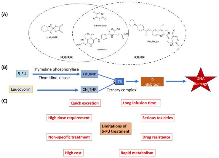 https://cdn.ncbi.nlm.nih.gov/pmc/blobs/73f4/11206923/8267843721f2/pharmaceutics-16-00734-g001.jpg
