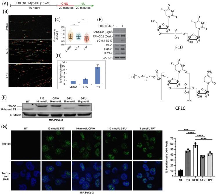 https://cdn.ncbi.nlm.nih.gov/pmc/blobs/73f4/11206923/c2e15a93ceec/pharmaceutics-16-00734-g003.jpg