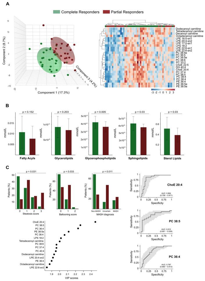 https://cdn.ncbi.nlm.nih.gov/pmc/blobs/73f6/12383904/27b90f275ffe/biomolecules-15-01112-g006.jpg