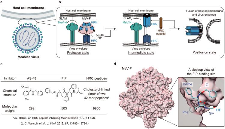 https://cdn.ncbi.nlm.nih.gov/pmc/blobs/73f7/12002024/a370570c5408/d4md01006j-f1.jpg