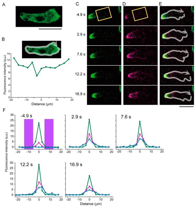 https://cdn.ncbi.nlm.nih.gov/pmc/blobs/73f7/5283175/1111899ed26c/13_321f5.jpg