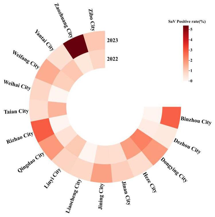 https://cdn.ncbi.nlm.nih.gov/pmc/blobs/73f9/12031332/b4ba2ee13012/viruses-17-00469-g002.jpg