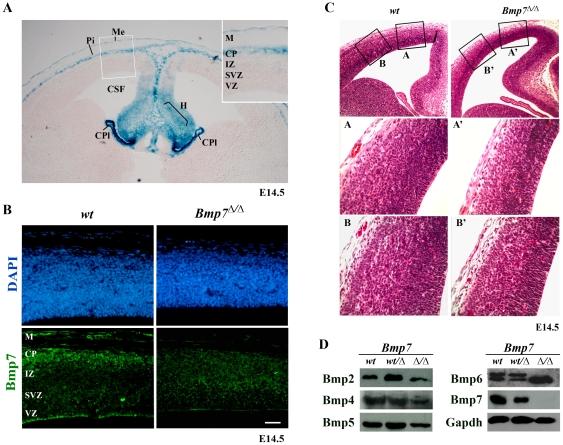https://cdn.ncbi.nlm.nih.gov/pmc/blobs/73f9/3312908/50b5bae078fc/pone.0034088.g001.jpg