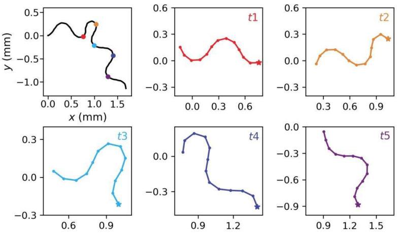 https://cdn.ncbi.nlm.nih.gov/pmc/blobs/73fb/9692421/5fcda24d1f4f/sensors-22-08825-g013.jpg