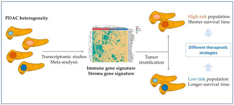 https://cdn.ncbi.nlm.nih.gov/pmc/blobs/73fc/10252129/77191f931bd5/cancers-15-02887-g008.jpg