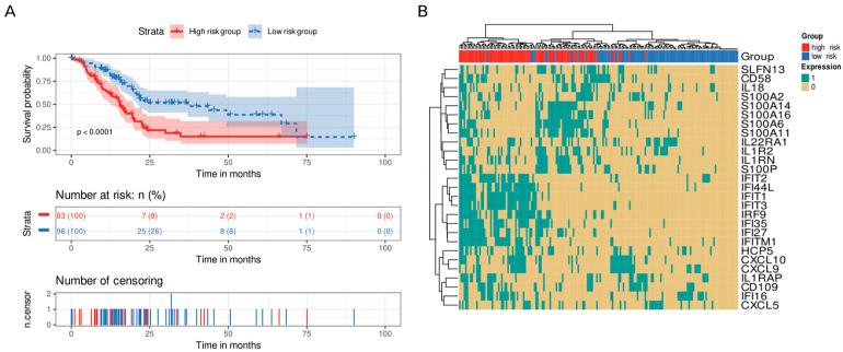 https://cdn.ncbi.nlm.nih.gov/pmc/blobs/73fc/10252129/94d14276a1bb/cancers-15-02887-g006.jpg