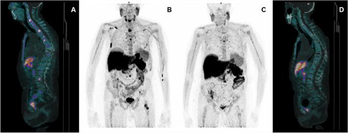 https://cdn.ncbi.nlm.nih.gov/pmc/blobs/73fd/9333077/782ad823fa68/40336_2022_515_Fig5_HTML.jpg