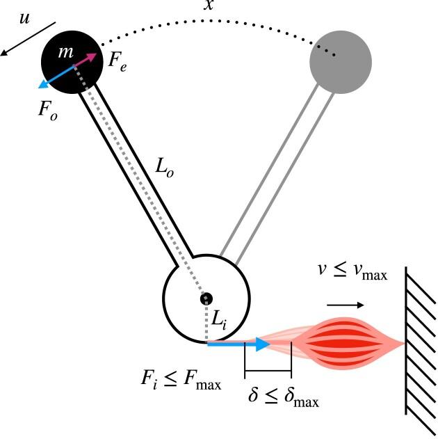 https://cdn.ncbi.nlm.nih.gov/pmc/blobs/73ff/11445786/6dd0580d8663/icae072fig1.jpg