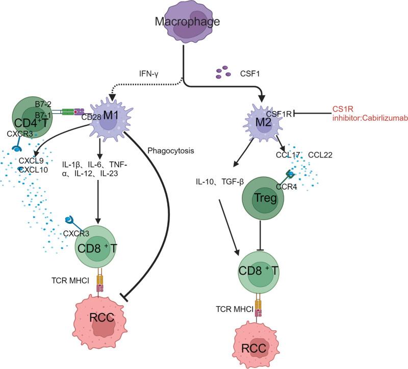 https://cdn.ncbi.nlm.nih.gov/pmc/blobs/7402/11272340/639b9f54daec/medi-103-e38991-g003.jpg