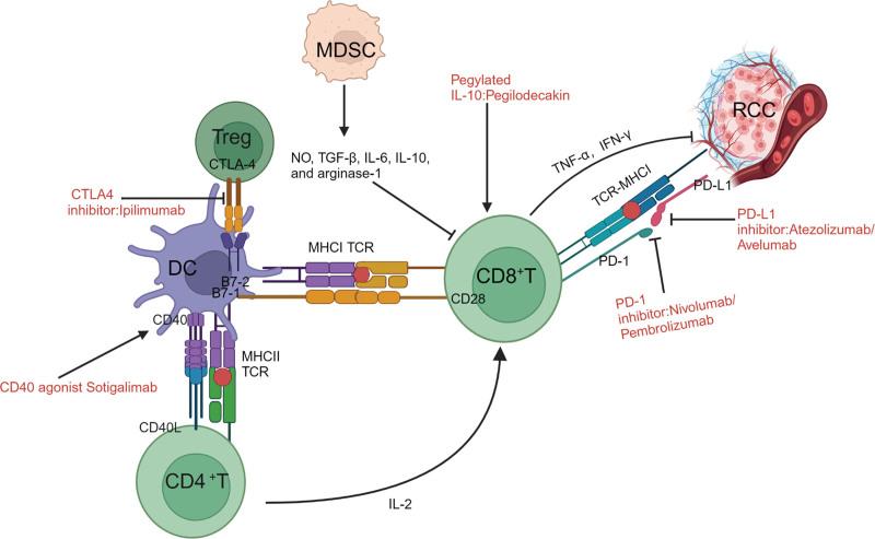 https://cdn.ncbi.nlm.nih.gov/pmc/blobs/7402/11272340/de7542703ea8/medi-103-e38991-g001.jpg