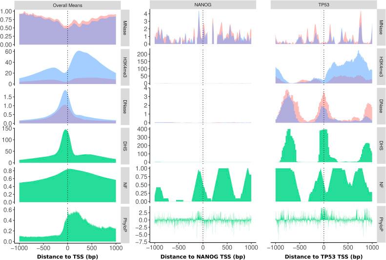 https://cdn.ncbi.nlm.nih.gov/pmc/blobs/7403/11147951/04629b9cf31e/LSA-2023-02380_FigS1.jpg