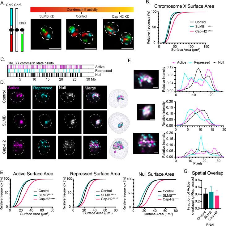 https://cdn.ncbi.nlm.nih.gov/pmc/blobs/7403/12244531/0e206c588b09/pgen.1011724.g001.jpg