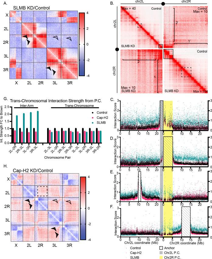 https://cdn.ncbi.nlm.nih.gov/pmc/blobs/7403/12244531/7cce459721d5/pgen.1011724.g005.jpg
