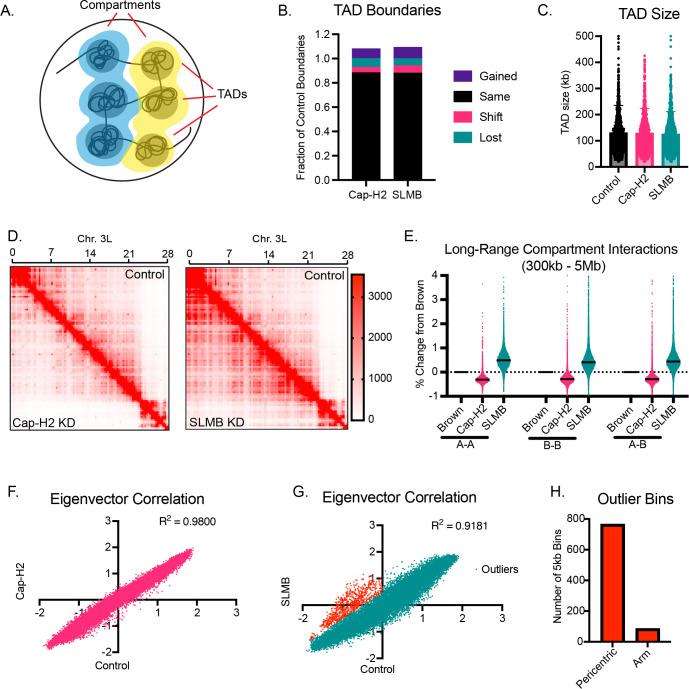 https://cdn.ncbi.nlm.nih.gov/pmc/blobs/7403/12244531/f469cd47e373/pgen.1011724.g003.jpg