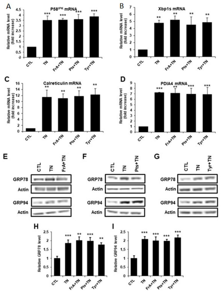 https://cdn.ncbi.nlm.nih.gov/pmc/blobs/7403/9224298/58c5da6b2883/ijms-23-06628-g007.jpg