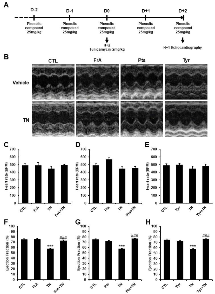 https://cdn.ncbi.nlm.nih.gov/pmc/blobs/7403/9224298/5ba67a3b205c/ijms-23-06628-g004.jpg