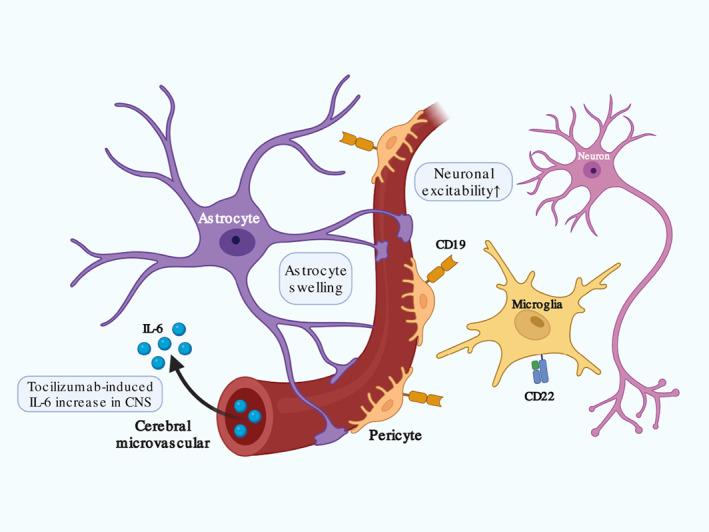 https://cdn.ncbi.nlm.nih.gov/pmc/blobs/7404/9787013/1b157acb9ac1/WSBM-14-e1576-g002.jpg