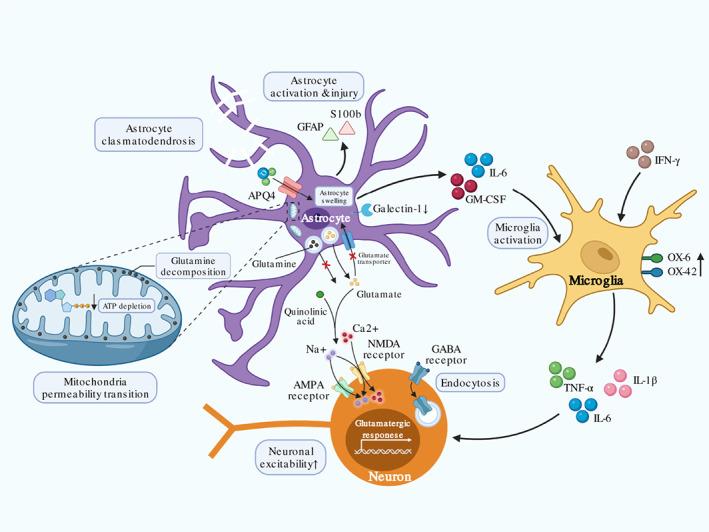 https://cdn.ncbi.nlm.nih.gov/pmc/blobs/7404/9787013/aca8874e7569/WSBM-14-e1576-g001.jpg
