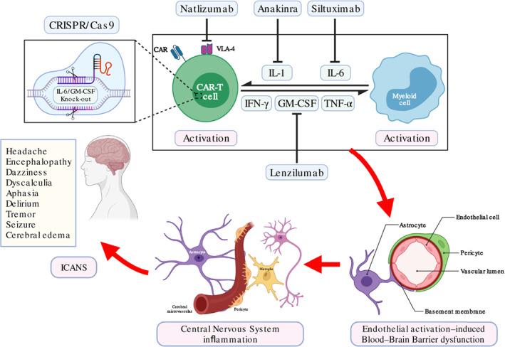 https://cdn.ncbi.nlm.nih.gov/pmc/blobs/7404/9787013/ea3bc79d6ee1/WSBM-14-e1576-g008.jpg