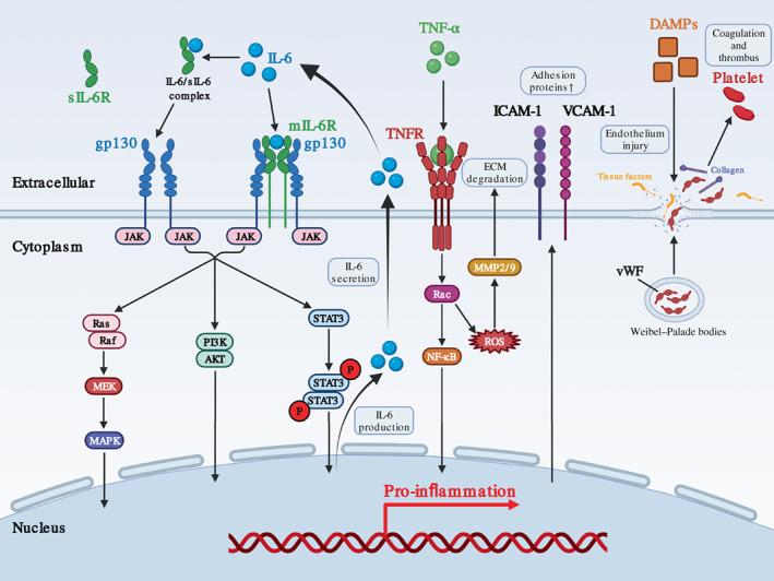 https://cdn.ncbi.nlm.nih.gov/pmc/blobs/7404/9787013/ea7a7d4f957b/WSBM-14-e1576-g005.jpg