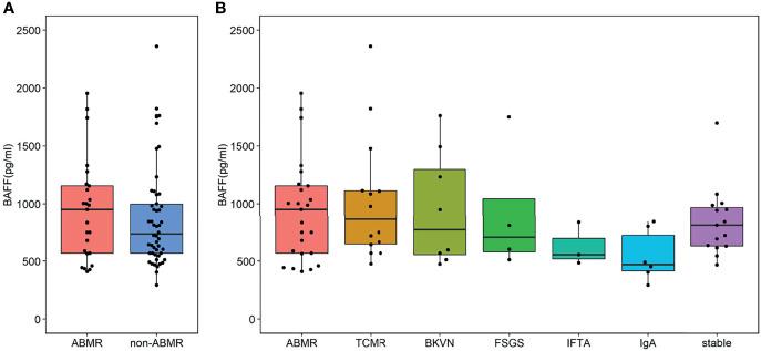 https://cdn.ncbi.nlm.nih.gov/pmc/blobs/7405/9045738/9fa9eeb43a34/fimmu-13-869444-g002.jpg