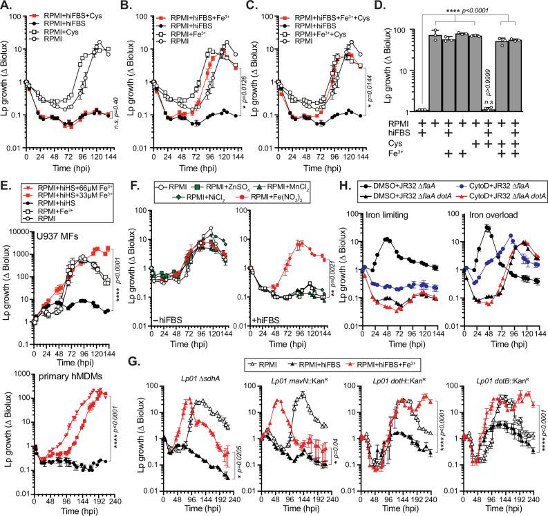 https://cdn.ncbi.nlm.nih.gov/pmc/blobs/7406/11381550/29462bcc0b89/41467_2024_52184_Fig5_HTML.jpg