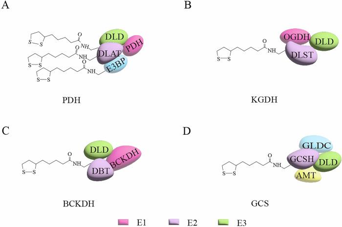 https://cdn.ncbi.nlm.nih.gov/pmc/blobs/7406/12405494/01bbed514a7d/41420_2025_2718_Fig2_HTML.jpg