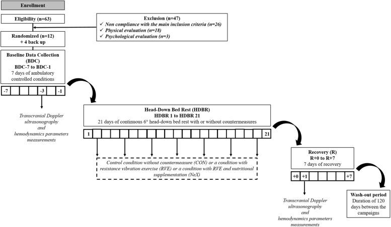 https://cdn.ncbi.nlm.nih.gov/pmc/blobs/740d/6718616/f892314ad35b/fphys-10-01114-g001.jpg