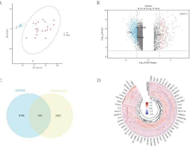 https://cdn.ncbi.nlm.nih.gov/pmc/blobs/740e/11718265/7db751d393ba/41598_2025_85799_Fig2_HTML.jpg