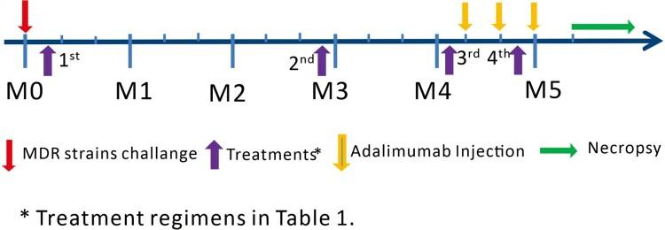 https://cdn.ncbi.nlm.nih.gov/pmc/blobs/740f/9310823/41a974e2be18/TEMI_A_2095930_F0001_OC.jpg