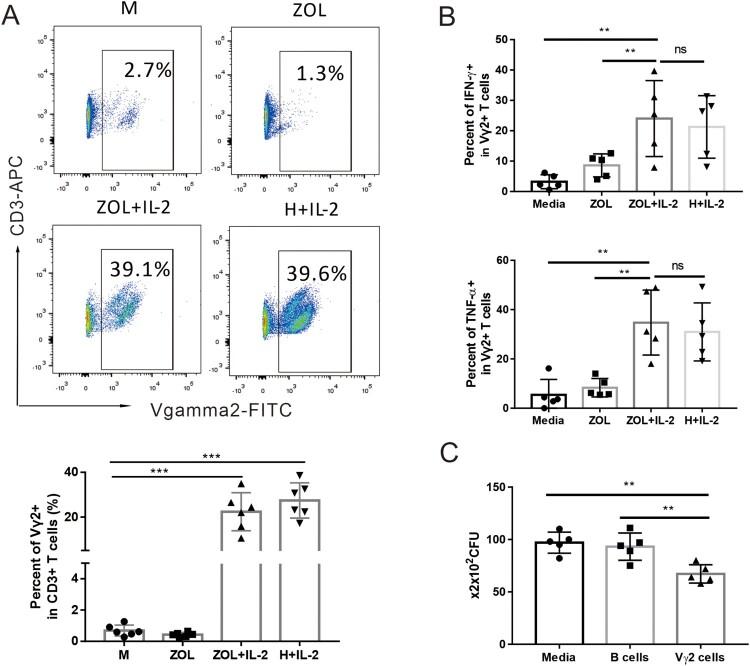https://cdn.ncbi.nlm.nih.gov/pmc/blobs/740f/9310823/719c8174a95e/TEMI_A_2095930_F0002_OC.jpg