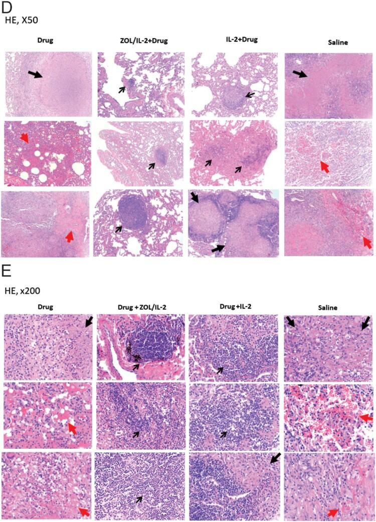 https://cdn.ncbi.nlm.nih.gov/pmc/blobs/740f/9310823/faa2cf389656/TEMI_A_2095930_F0007b_OC.jpg