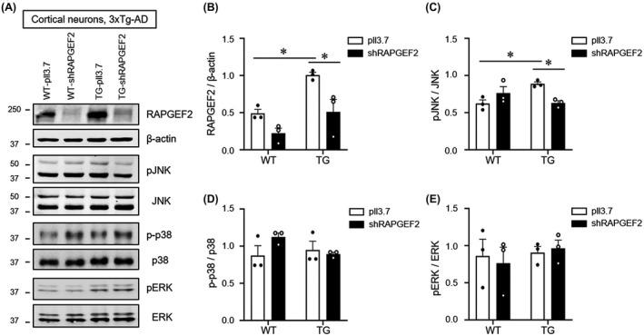 https://cdn.ncbi.nlm.nih.gov/pmc/blobs/7413/8359155/46c4e8a1e9d9/NAN-47-625-g002.jpg