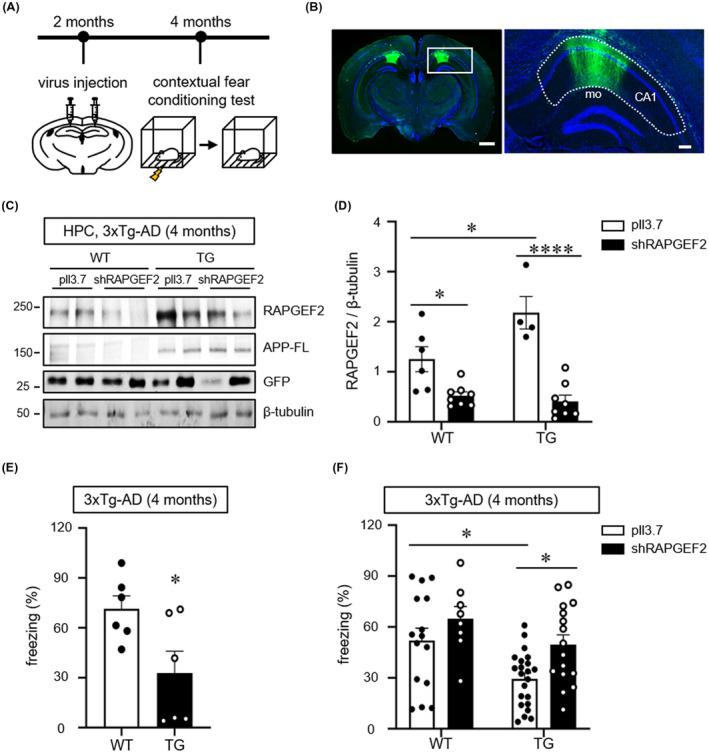 https://cdn.ncbi.nlm.nih.gov/pmc/blobs/7413/8359155/66d48f6d3889/NAN-47-625-g003.jpg
