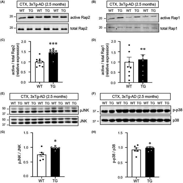 https://cdn.ncbi.nlm.nih.gov/pmc/blobs/7413/8359155/b5165cdb9793/NAN-47-625-g005.jpg