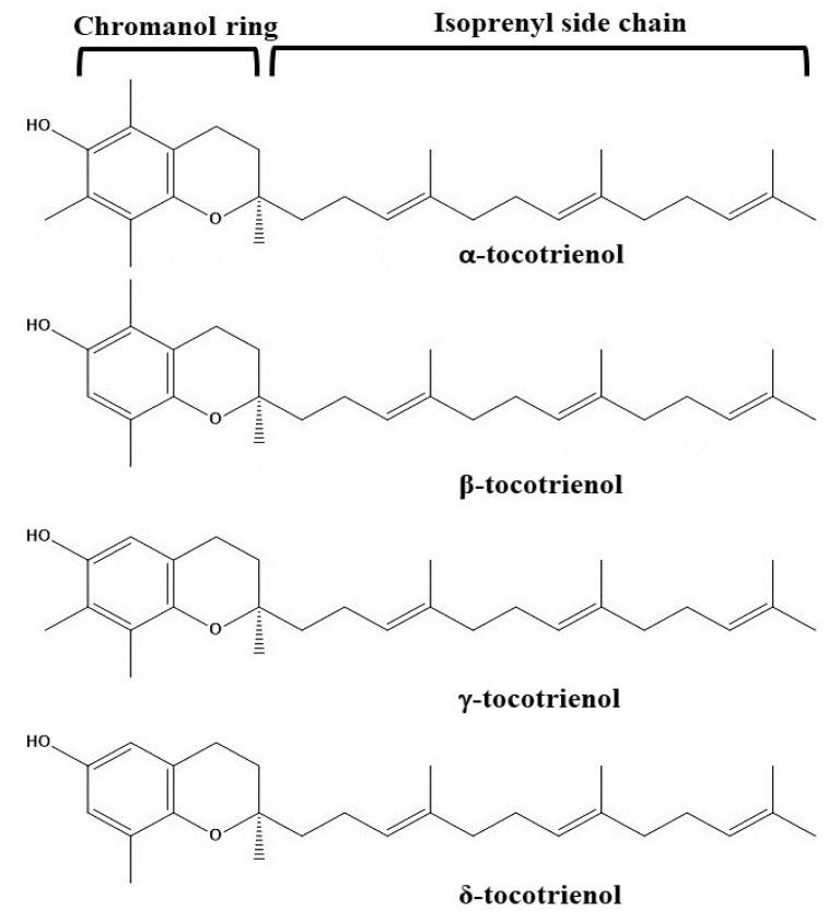 https://cdn.ncbi.nlm.nih.gov/pmc/blobs/7416/9699634/04923b6e6ed4/pharmaceutics-14-02479-g002.jpg
