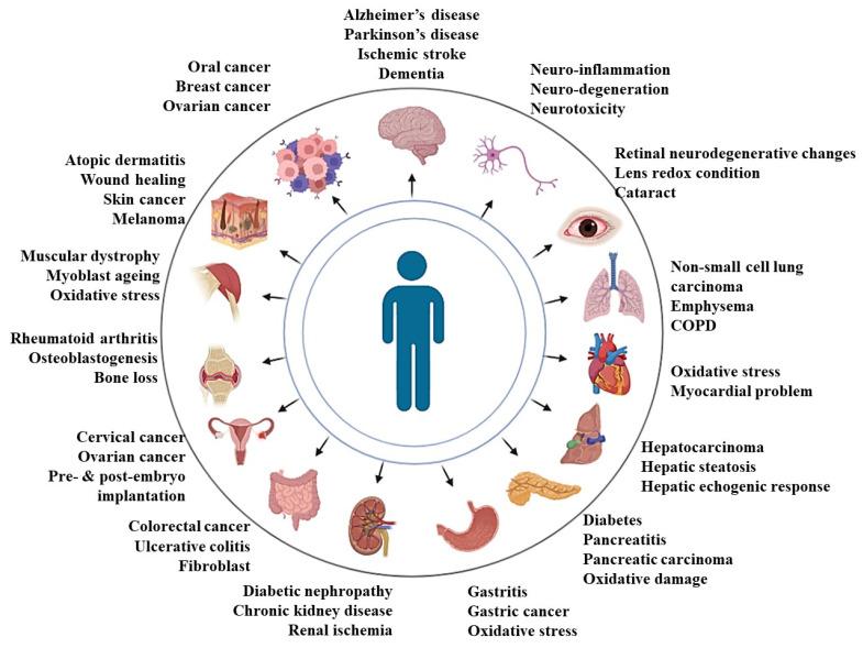 https://cdn.ncbi.nlm.nih.gov/pmc/blobs/7416/9699634/4abd228b3128/pharmaceutics-14-02479-g001.jpg