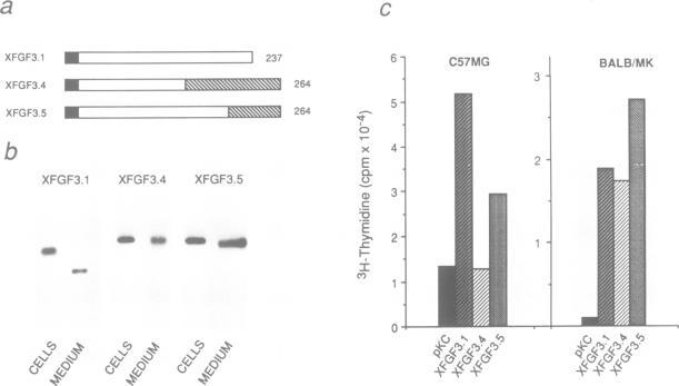 https://cdn.ncbi.nlm.nih.gov/pmc/blobs/7417/413710/c050cedbdf44/emboj00083-0132-a.jpg
